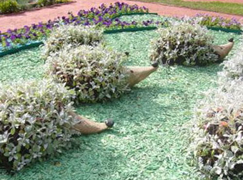 Клумба из бутылок мастер класс Клумба из бутылок мастер класс